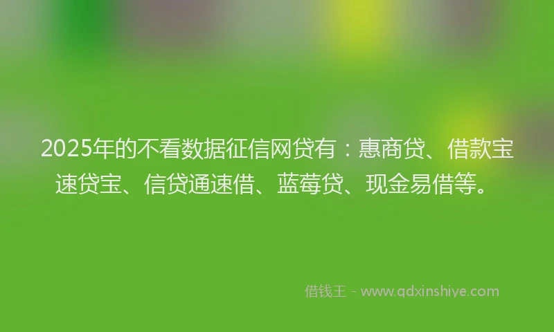 2025年的不看数据征信网贷有：惠商贷、借款宝速贷宝、信贷通速借、蓝莓贷、现金易借等。