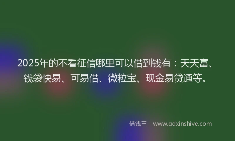 2025年的不看征信哪里可以借到钱有：天天富、钱袋快易、可易借、微粒宝、现金易贷通等。