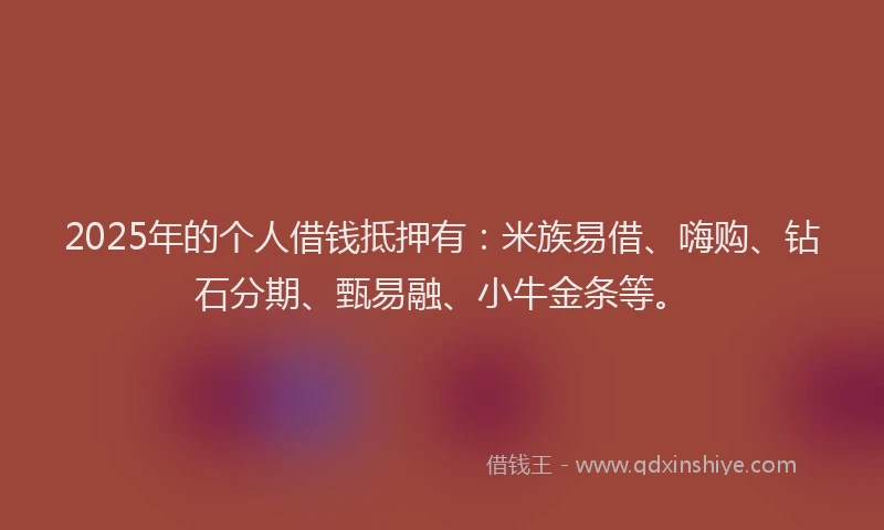 2025年的个人借钱抵押有：米族易借、嗨购、钻石分期、甄易融、小牛金条等。