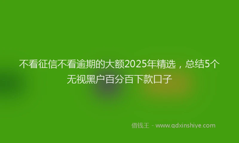 不看征信不看逾期的大额2025年精选，总结5个无视黑户百分百下款口子