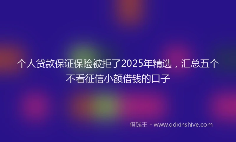 个人贷款保证保险被拒了2025年精选，汇总五个不看征信小额借钱的口子
