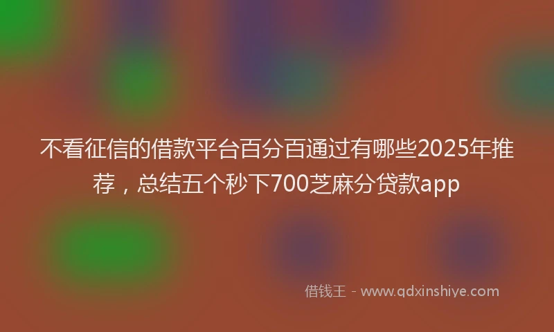 不看征信的借款平台百分百通过有哪些2025年推荐，总结五个秒下700芝麻分贷款app