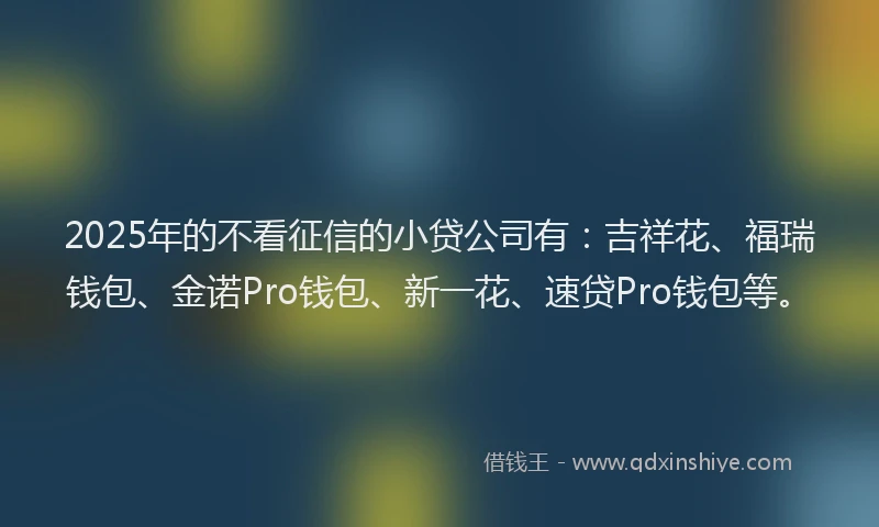 2025年的不看征信的小贷公司有：吉祥花、福瑞钱包、金诺Pro钱包、新一花、速贷Pro钱包等。