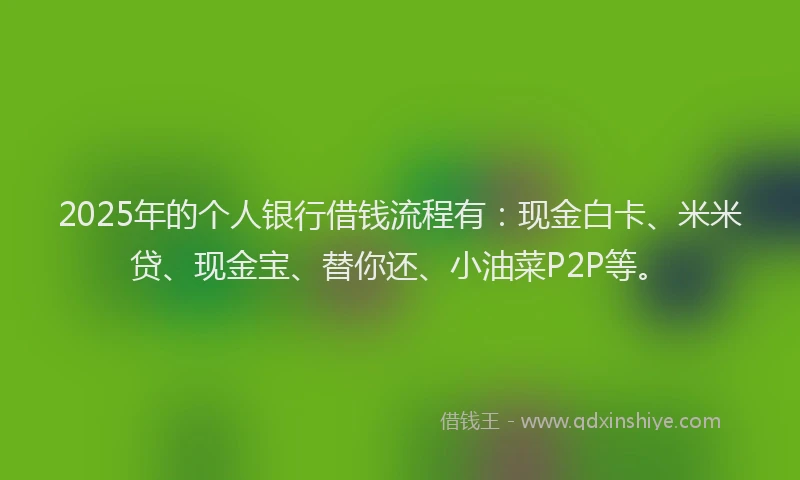2025年的个人银行借钱流程有：现金白卡、米米贷、现金宝、替你还、小油菜P2P等。