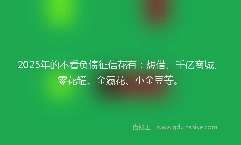 2025年的不看负债征信花有：想借、千亿商城、零花罐、金瀛花、小金豆等。