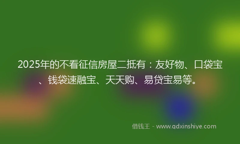 2025年的不看征信房屋二抵有：友好物、口袋宝、钱袋速融宝、天天购、易贷宝易等。