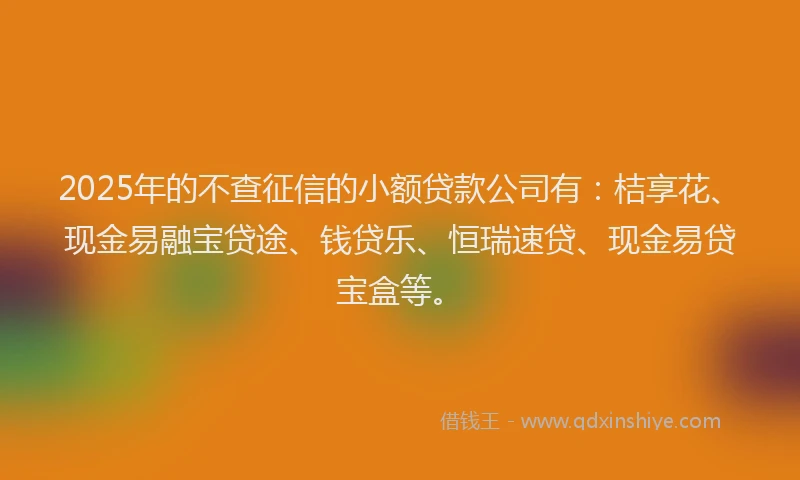 2025年的不查征信的小额贷款公司有：桔享花、现金易融宝贷途、钱贷乐、恒瑞速贷、现金易贷宝盒等。