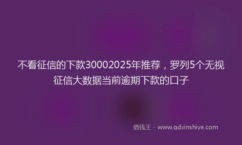 不看征信的下款30002025年推荐，罗列5个无视征信大数据当前逾期下款的口子