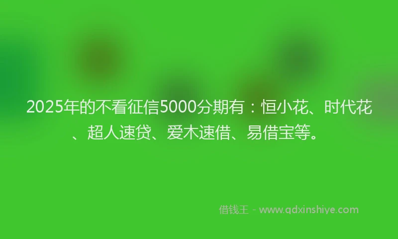 2025年的不看征信5000分期有：恒小花、时代花、超人速贷、爱木速借、易借宝等。