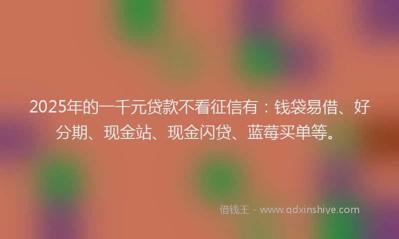2025年的一千元贷款不看征信有：钱袋易借、好分期、现金站、现金闪贷、蓝莓买单等。