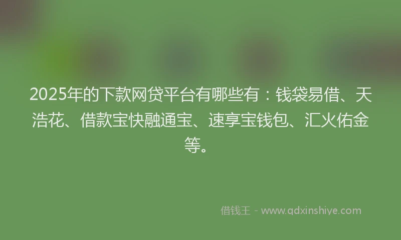 2025年的下款网贷平台有哪些有：钱袋易借、天浩花、借款宝快融通宝、速享宝钱包、汇火佑金等。