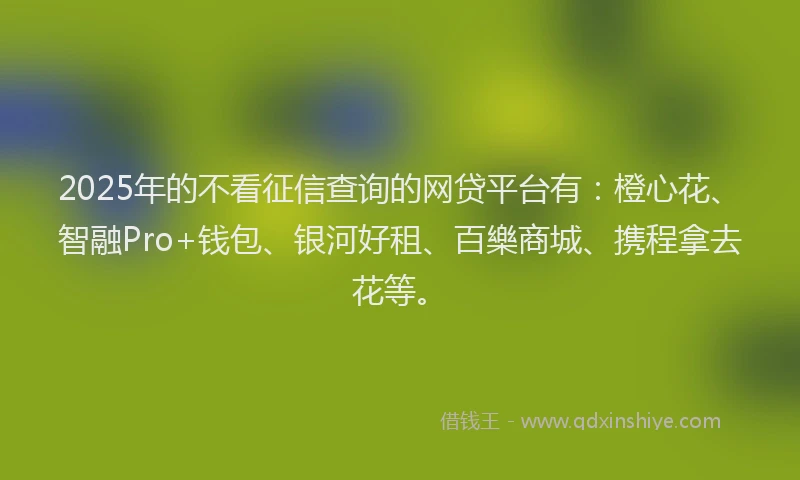 2025年的不看征信查询的网贷平台有：橙心花、智融Pro+钱包、银河好租、百樂商城、携程拿去花等。