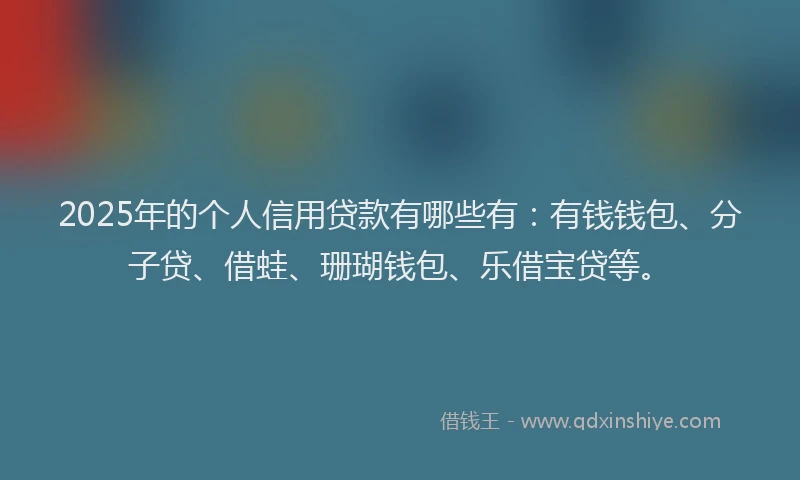 2025年的个人信用贷款有哪些有:有钱钱包、分子贷、借蛙、珊瑚钱包、乐借宝贷等。
