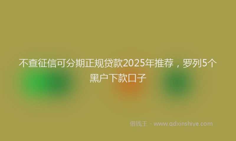 不查征信可分期正规贷款2025年推荐，罗列5个黑户下款口子