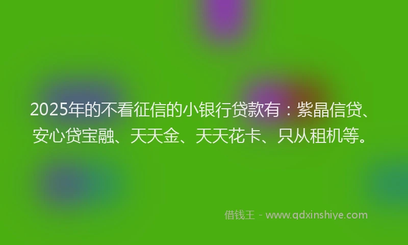 2025年的不看征信的小银行贷款有：紫晶信贷、安心贷宝融、天天金、天天花卡、只从租机等。