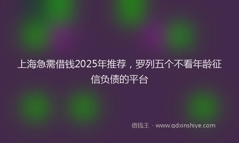 上海急需借钱2025年推荐，罗列五个不看年龄征信负债的平台