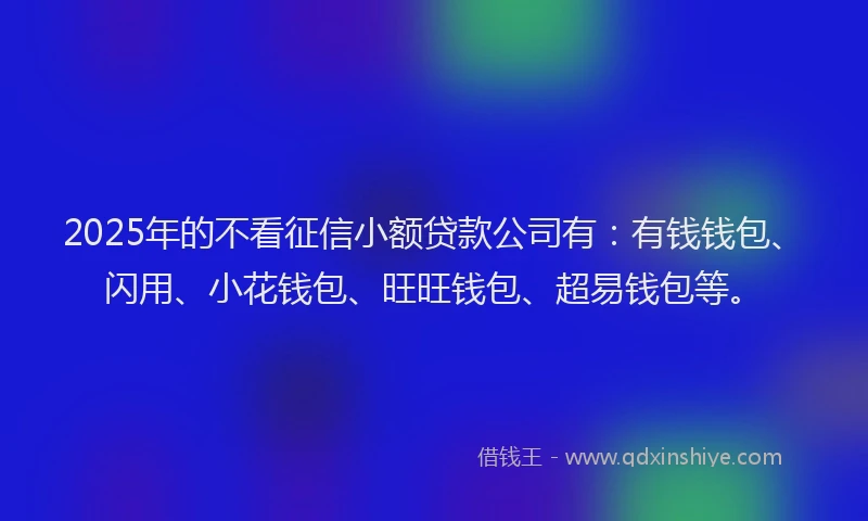 2025年的不看征信小额贷款公司有：有钱钱包、闪用、小花钱包、旺旺钱包、超易钱包等。