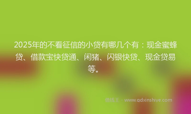 2025年的不看征信的小贷有哪几个有：现金蜜蜂贷、借款宝快贷通、闲猪、闪银快贷、现金贷易等。