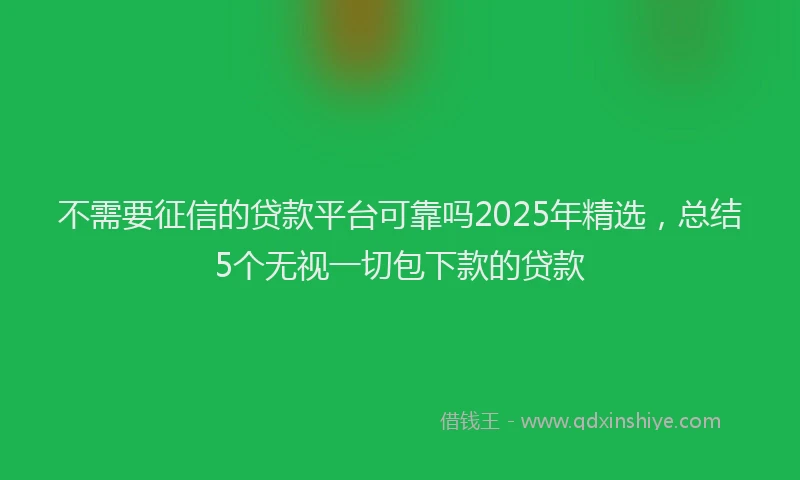 不需要征信的贷款平台可靠吗2025年精选，总结5个无视一切包下款的贷款