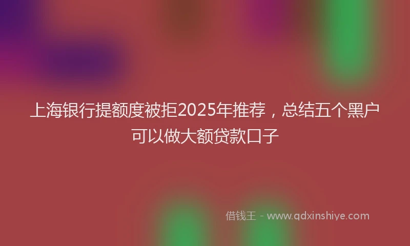 上海银行提额度被拒2025年推荐，总结五个黑户可以做大额贷款口子