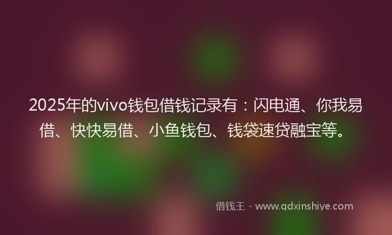 2025年的vivo钱包借钱记录有：闪电通、你我易借、快快易借、小鱼钱包、钱袋速贷融宝等。