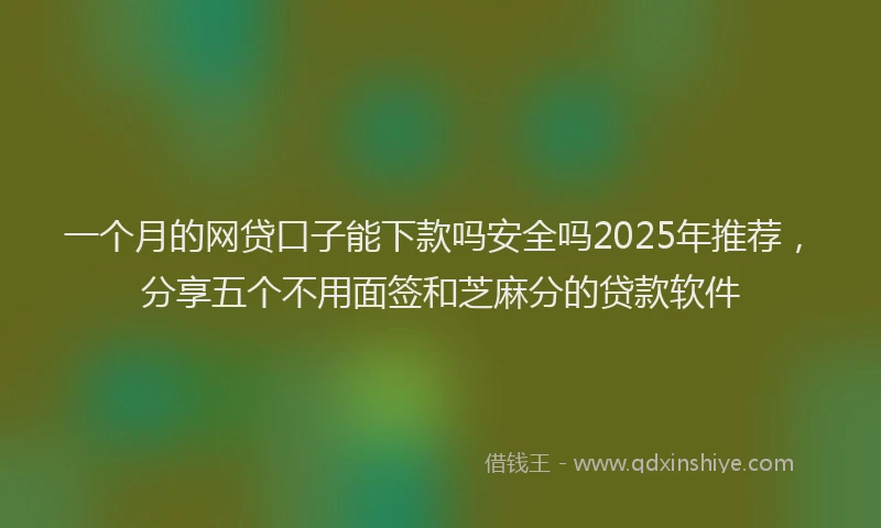 一个月的网贷口子能下款吗安全吗2025年推荐，分享五个不用面签和芝麻分的贷款软件