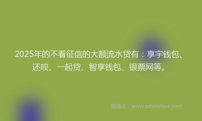 2025年的不看征信的大额流水贷有：享宇钱包、还呗、一起贷、智享钱包、银票网等。
