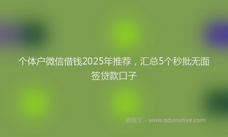 个体户微信借钱2025年推荐，汇总5个秒批无面签贷款口子