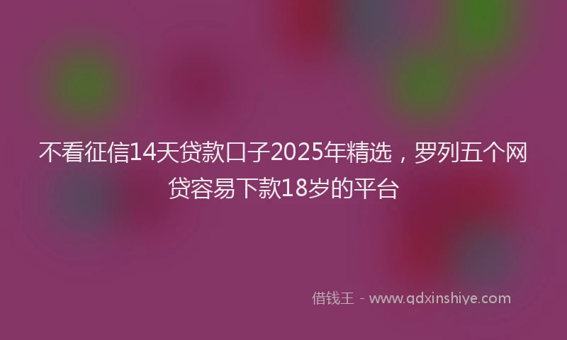 不看征信14天贷款口子2025年精选，罗列五个网贷容易下款18岁的平台