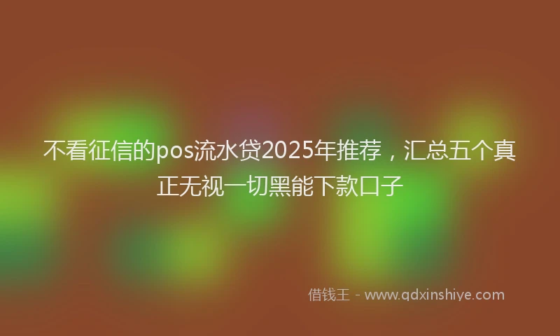 不看征信的pos流水贷2025年推荐，汇总五个真正无视一切黑能下款口子