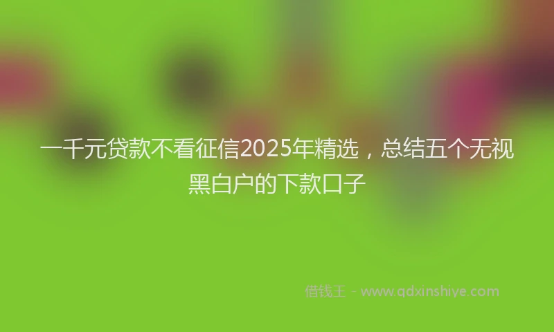 一千元贷款不看征信2025年精选，总结五个无视黑白户的下款口子