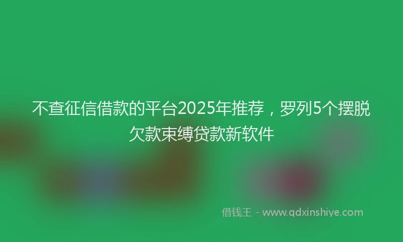 不查征信借款的平台2025年推荐，罗列5个摆脱欠款束缚贷款新软件