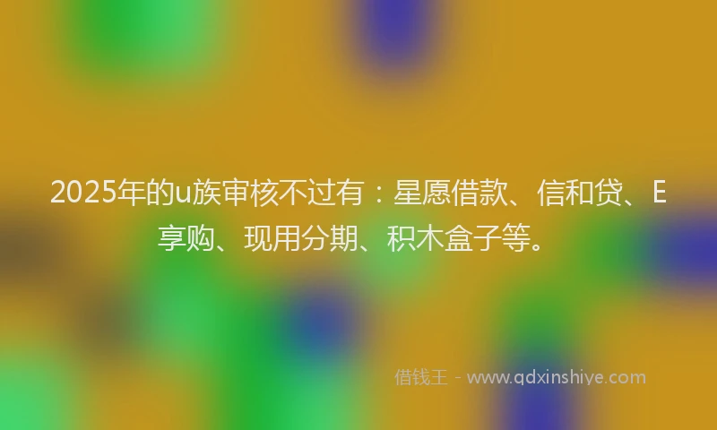 2025年的u族审核不过有：星愿借款、信和贷、E享购、现用分期、积木盒子等。