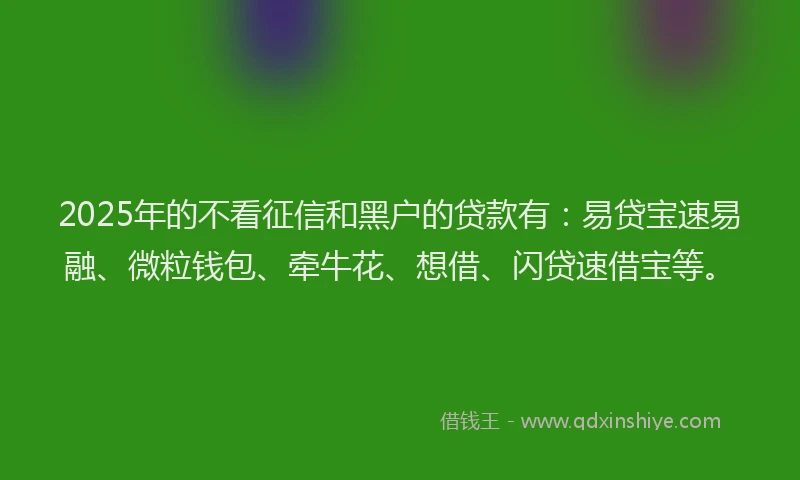 2025年的不看征信和黑户的贷款有：易贷宝速易融、微粒钱包、牵牛花、想借、闪贷速借宝等。