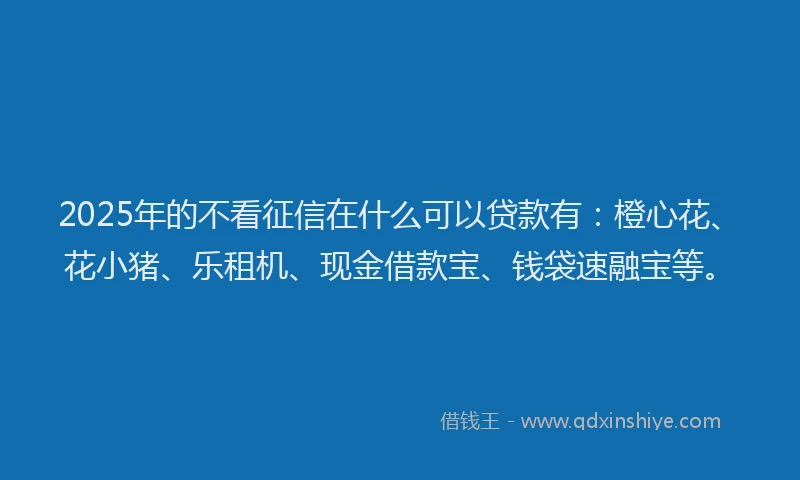 2025年的不看征信在什么可以贷款有：橙心花、花小猪、乐租机、现金借款宝、钱袋速融宝等。