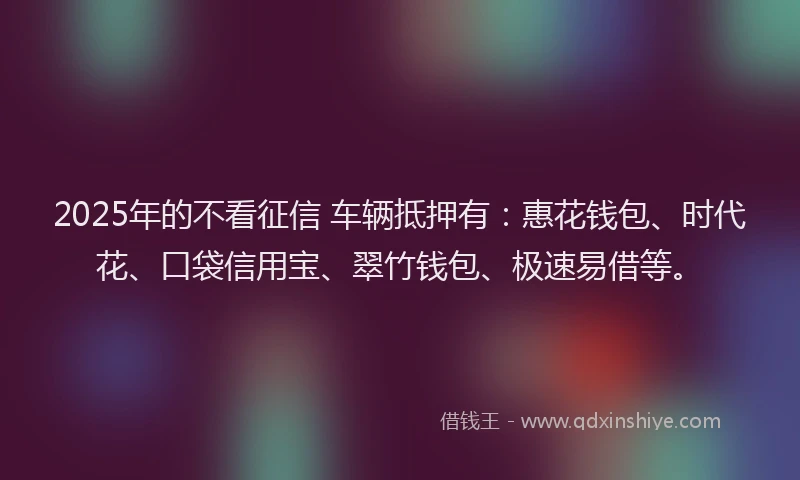 2025年的不看征信 车辆抵押有：惠花钱包、时代花、口袋信用宝、翠竹钱包、极速易借等。