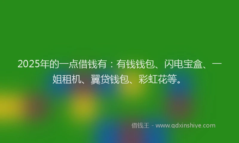 2025年的一点借钱有：有钱钱包、闪电宝盒、一姐租机、翼贷钱包、彩虹花等。