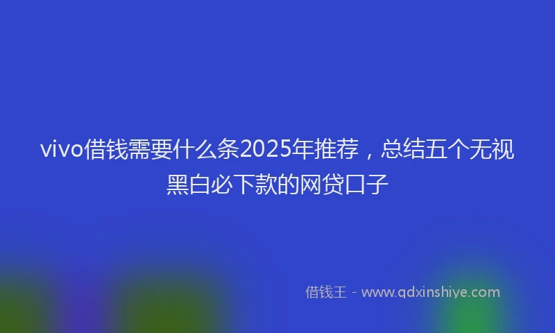 vivo借钱需要什么条2025年推荐，总结五个无视黑白必下款的网贷口子