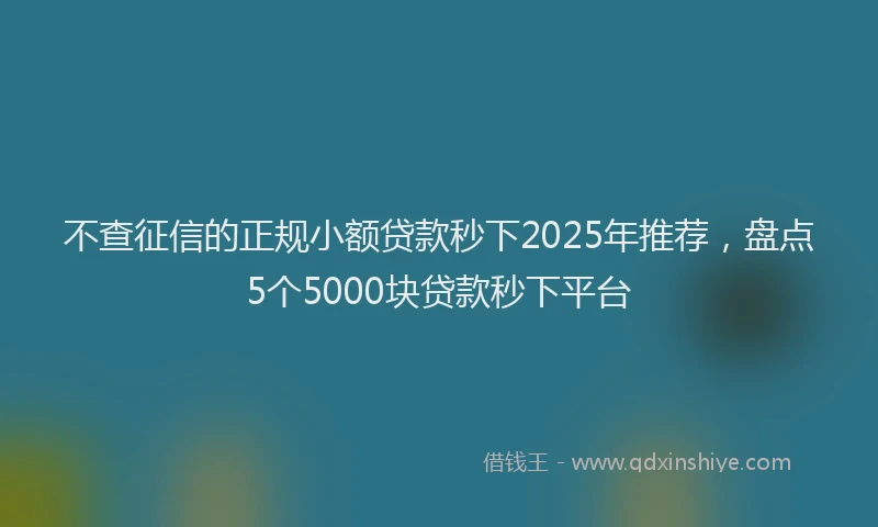 不查征信的正规小额贷款秒下2025年推荐，盘点5个5000块贷款秒下平台