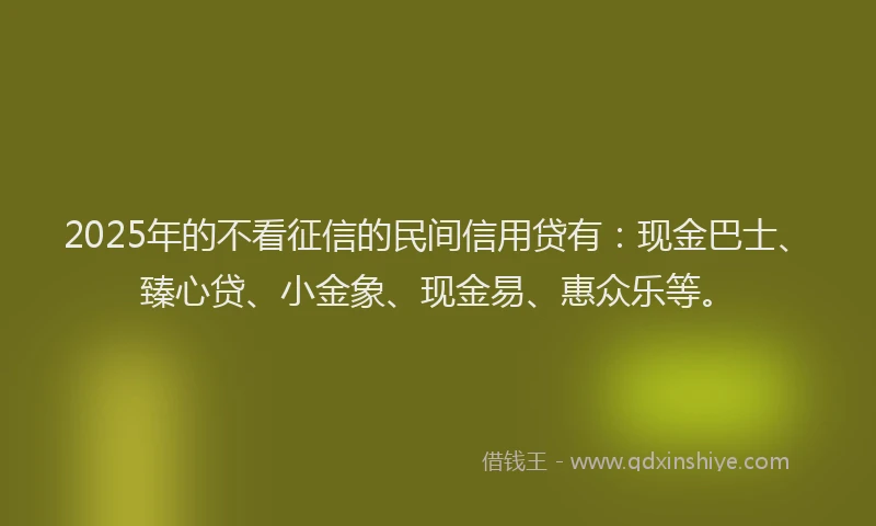 2025年的不看征信的民间信用贷有：现金巴士、臻心贷、小金象、现金易、惠众乐等。