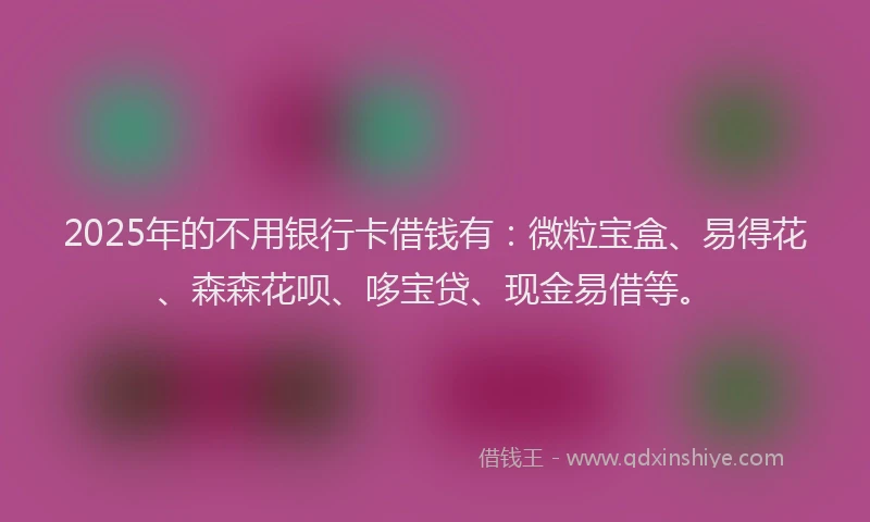 2025年的不用银行卡借钱有：微粒宝盒、易得花、森森花呗、哆宝贷、现金易借等。