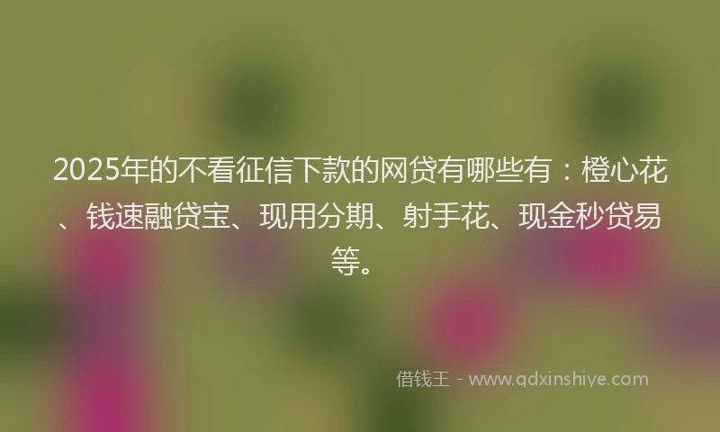 2025年的不看征信下款的网贷有哪些有：橙心花、钱速融贷宝、现用分期、射手花、现金秒贷易等。