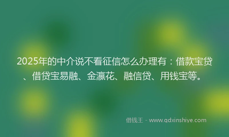2025年的中介说不看征信怎么办理有：借款宝贷、借贷宝易融、金瀛花、融信贷、用钱宝等。