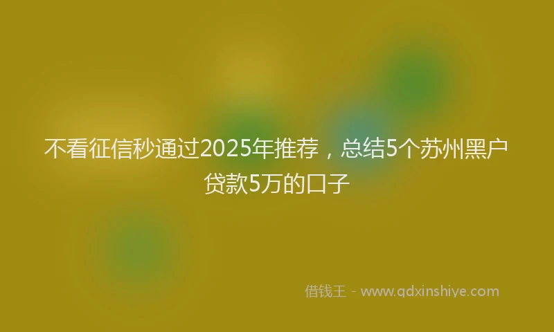 不看征信秒通过2025年推荐，总结5个苏州黑户贷款5万的口子