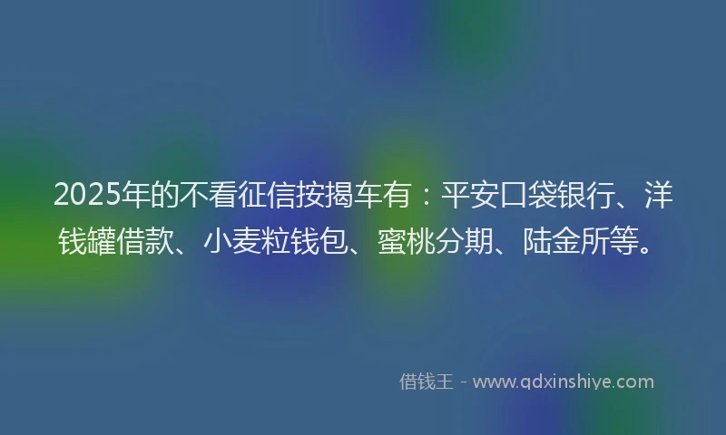 2025年的不看征信按揭车有：平安口袋银行、洋钱罐借款、小麦粒钱包、蜜桃分期、陆金所等。