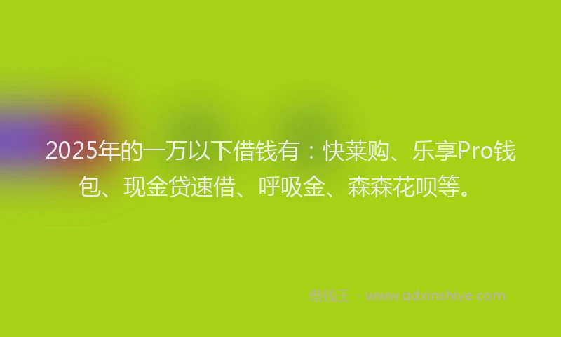 2025年的一万以下借钱有：快莱购、乐享Pro钱包、现金贷速借、呼吸金、森森花呗等。