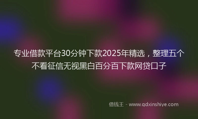 专业借款平台30分钟下款2025年精选，整理五个不看征信无视黑白百分百下款网贷口子