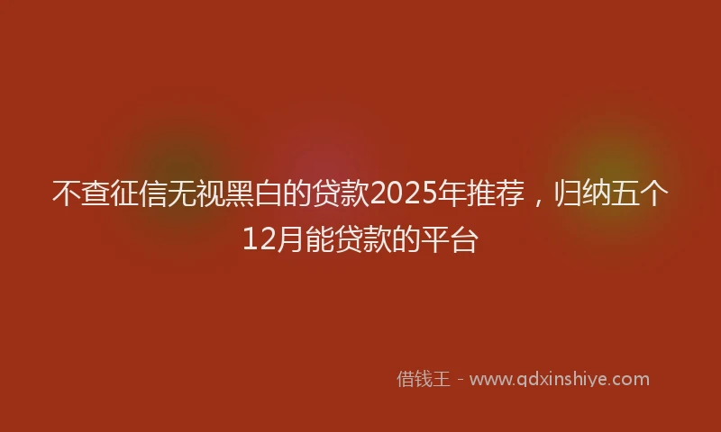 不查征信无视黑白的贷款2025年推荐，归纳五个12月能贷款的平台