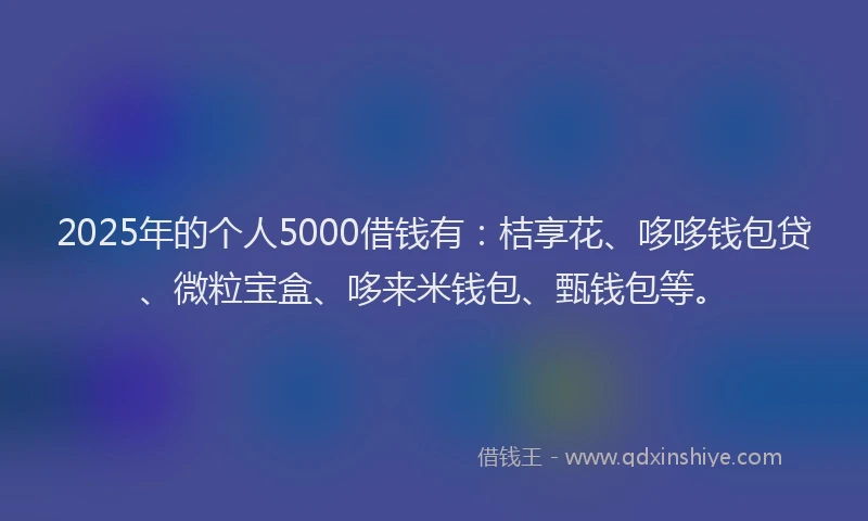 2025年的个人5000借钱有：桔享花、哆哆钱包贷、微粒宝盒、哆来米钱包、甄钱包等。