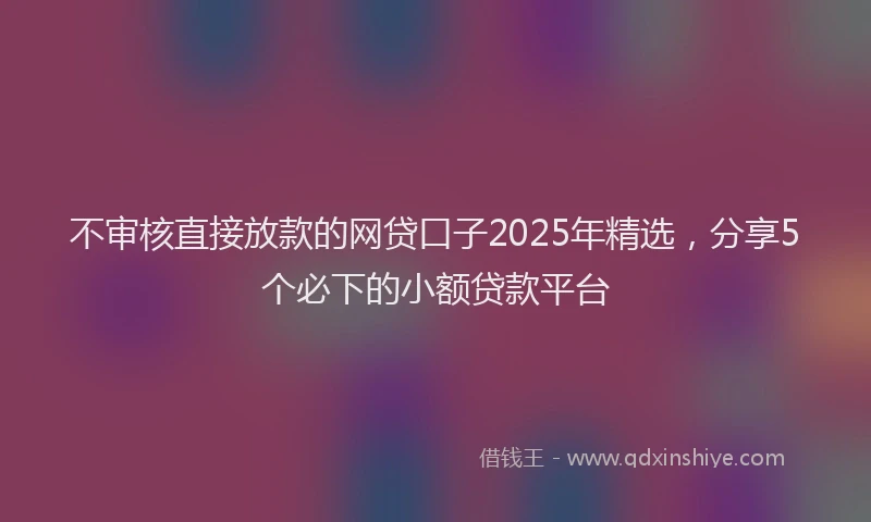 不审核直接放款的网贷口子2025年精选，分享5个必下的小额贷款平台